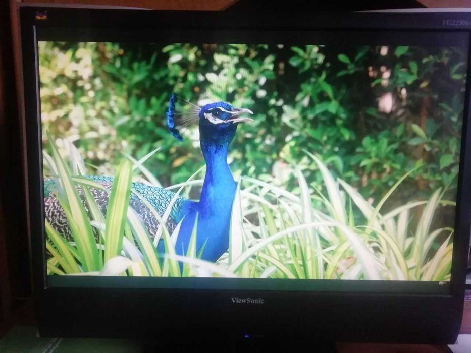 Монитор 22" ViewSonic VG2230WM