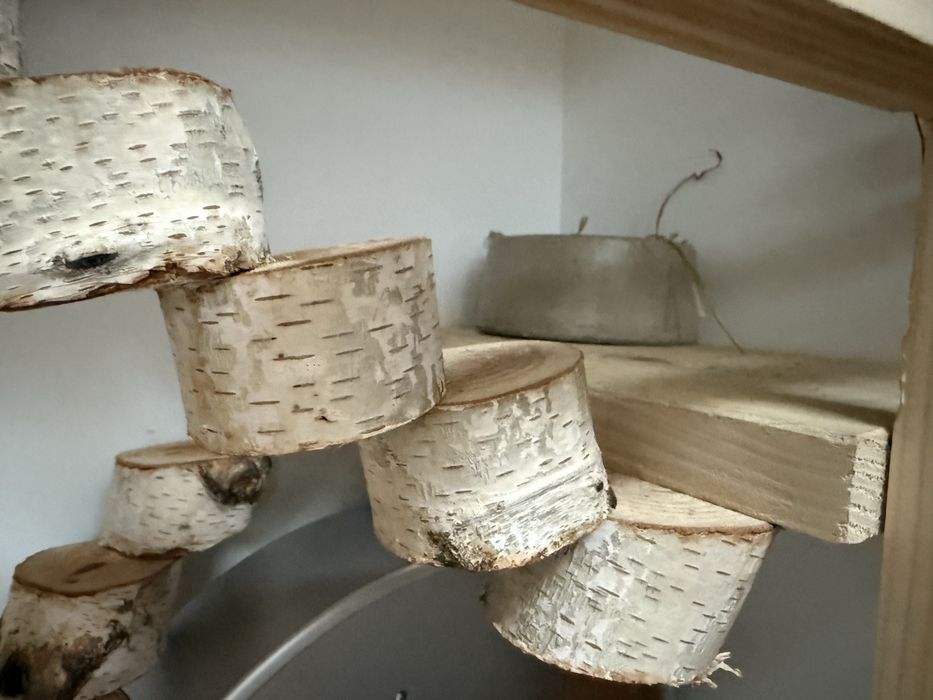 Woliera klatka dla szynszyla 100x80x40 komplet