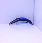Labroides dimidiatus [Ryba Morska] [Akwarium Morskie]
