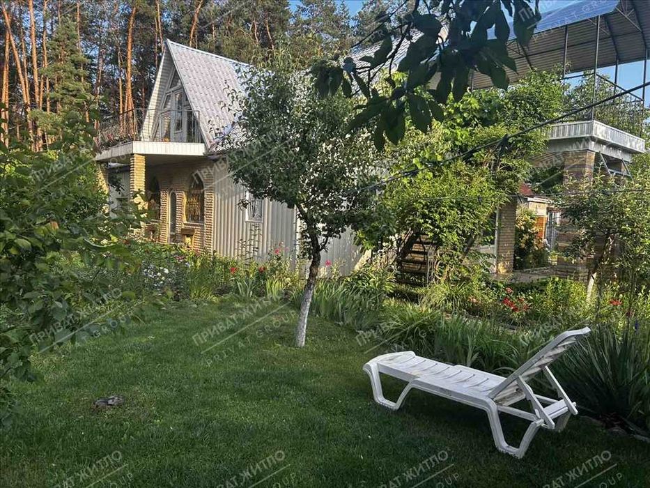 Сосни на ділянці, річка та пляж за воротами. Пошук закінчено!