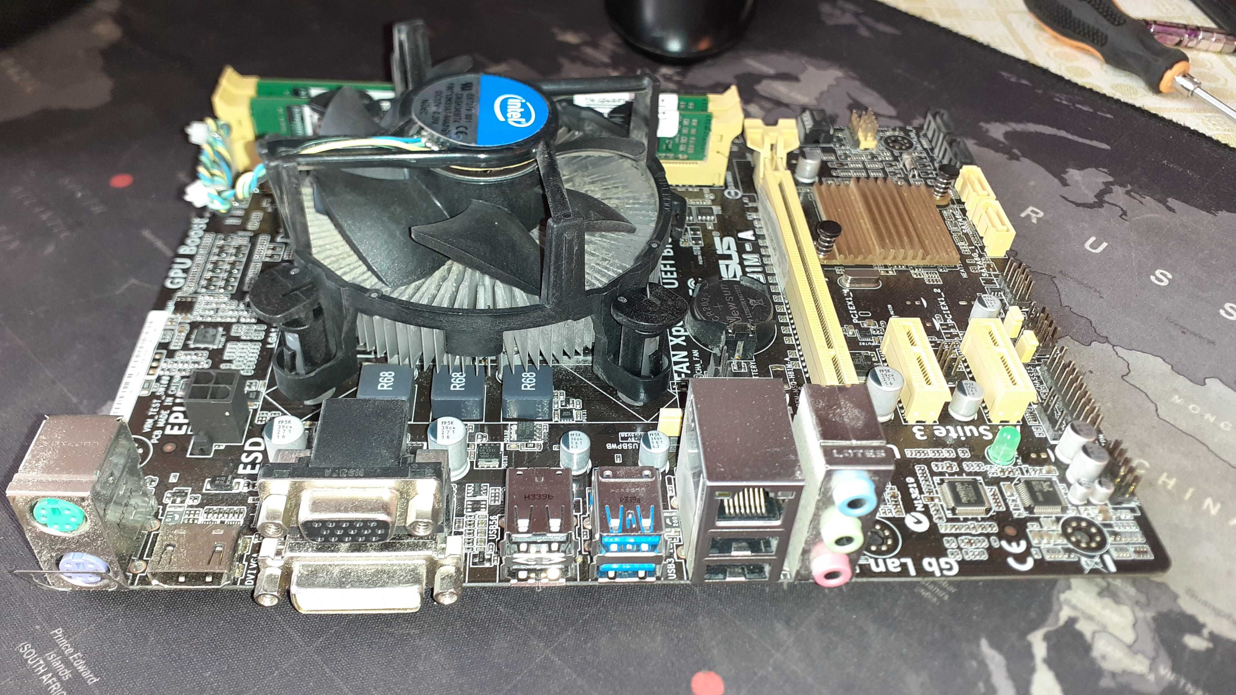 ASUS H81M-A LGA 1150, i3-4330, DDR 3 2x4 GB Kingston