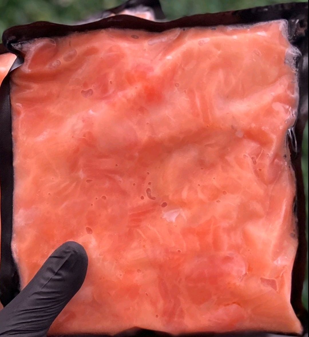 Вкуснейшие, нежные кусочки филе лосось (сёмга) малосольные , сьомга
