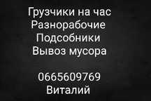 Услуги грузчиков на час, грузоперевозки, вывоз мусора , разнорабочие
