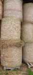 Siano w belach drugi pokos 120x130