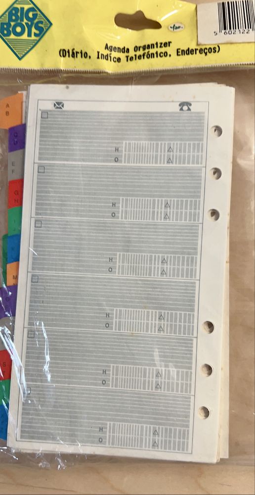 Subsituicao de organizer/fillofax