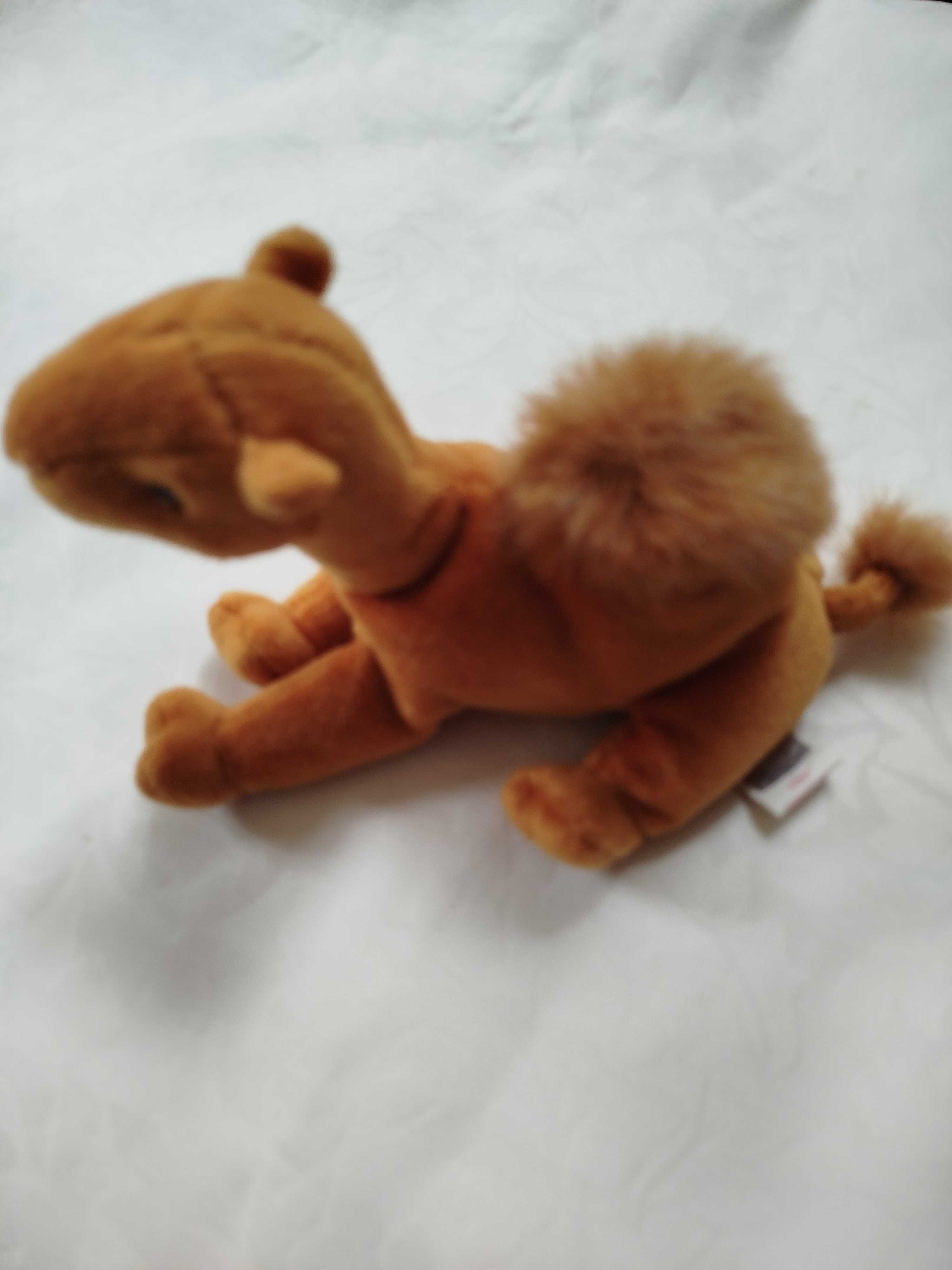 Ty Beanie Babies wielbłąd Niles
