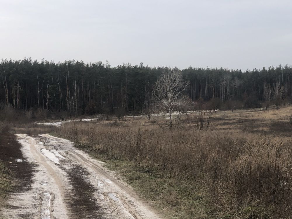 Участок 12 сот Залізний хутір