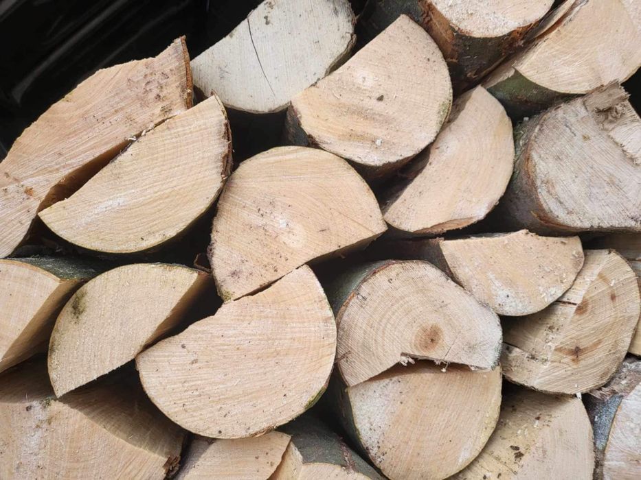 Drewno opałowe i kominkowe – Dąb, Buk, Grab, Brzoza, Sosna, Olcha,