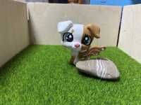 Littlest pet shop custom piesek