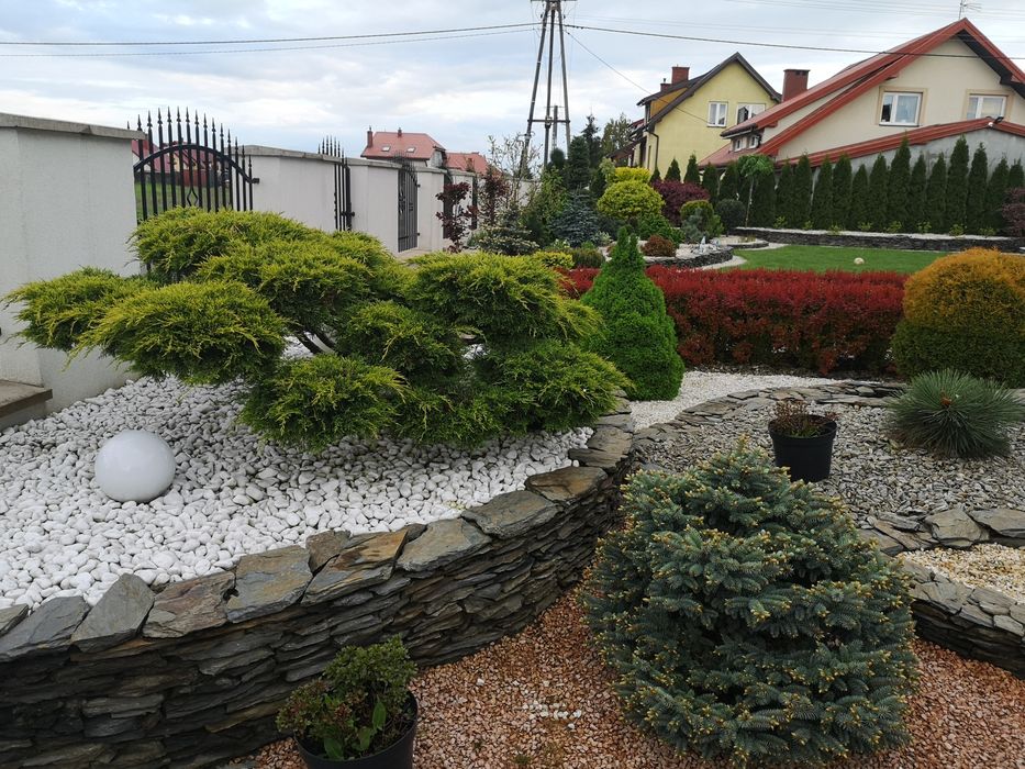 Kamień ozdobny biała marianna, kora kamienna