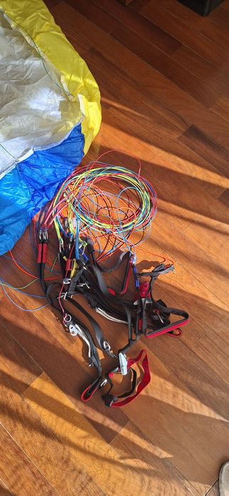 Asa Dudek Universal 1.1