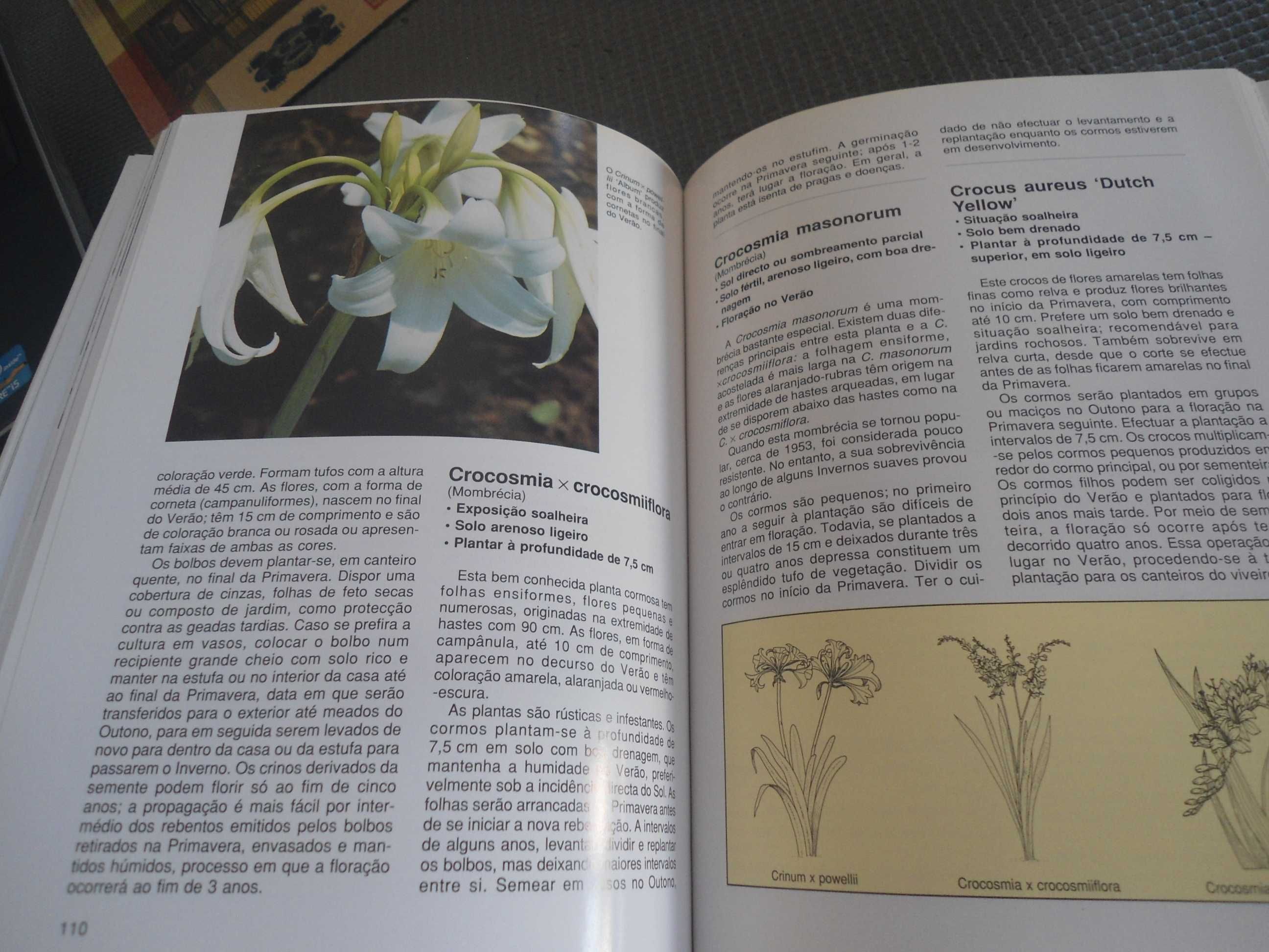 Plantas de Jardim por David Squire (2 volumes)