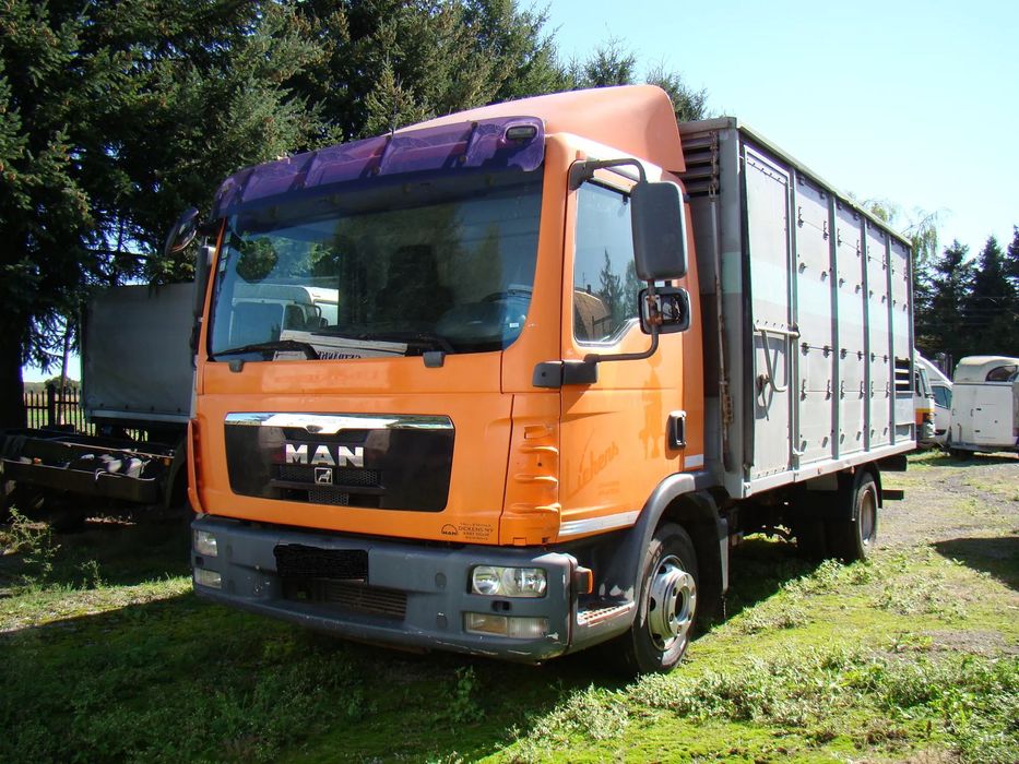 MAN 12180  zabudowa do przewozu zwierząt