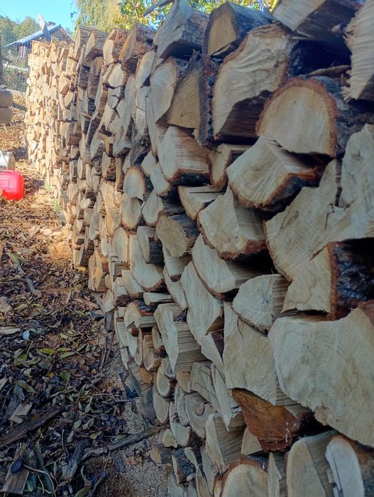 Dębina skałki opał