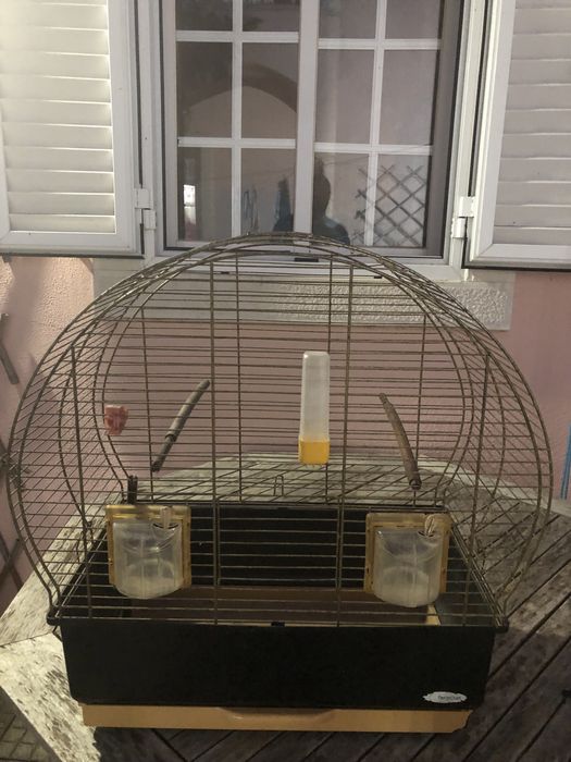 Gaiola para canários