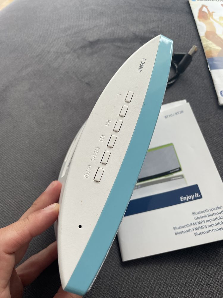 Głośnik Bluetooth Blupunkt BT 10, Radio FM