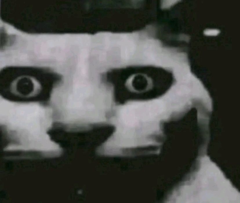 Honda dio 35 с талоном