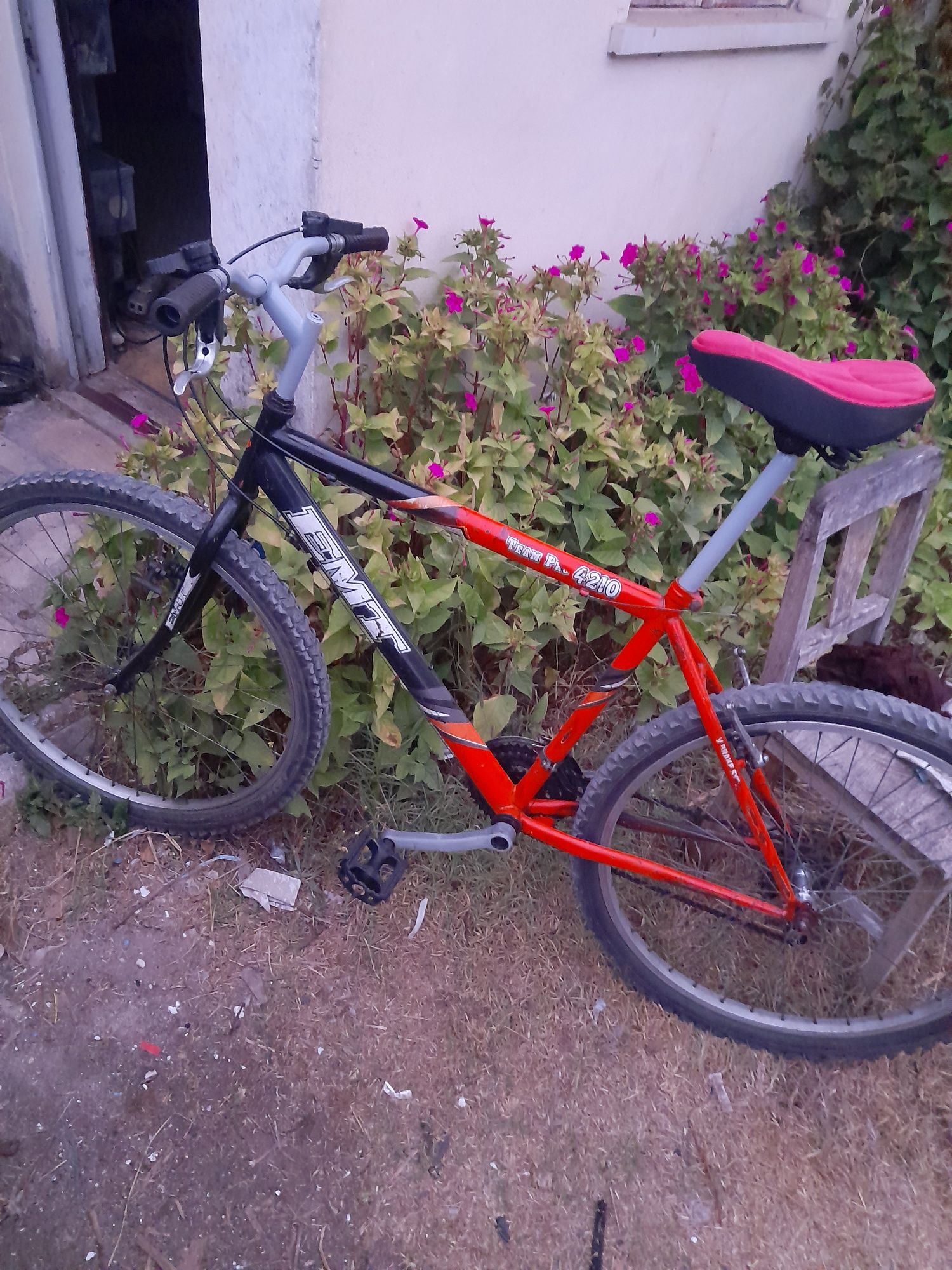 Bicicleta EMT  usado