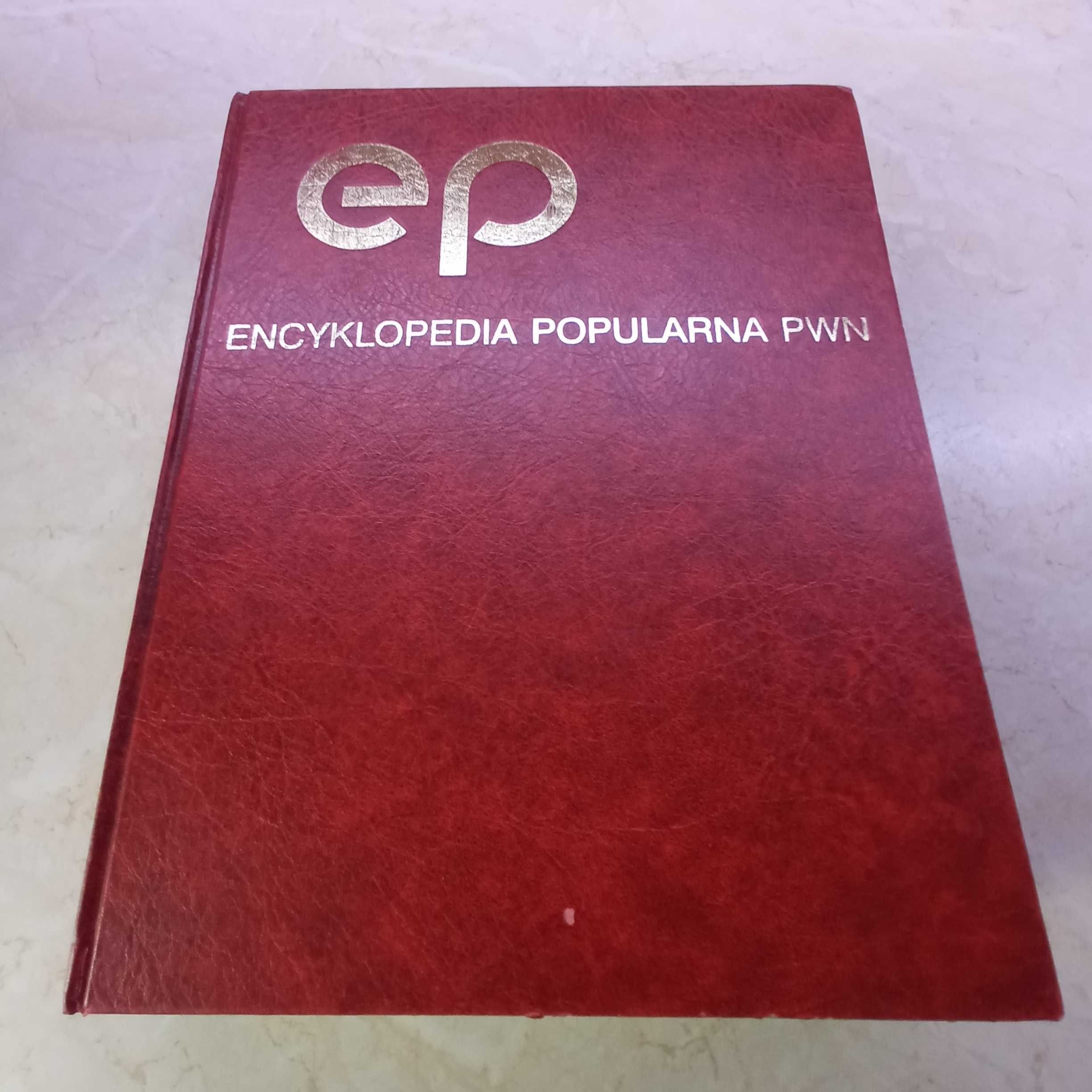 Encyklopedia popularna PWN