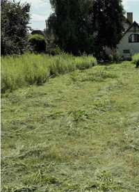 Usługi ogrodnicze koszenie trawy kosą spalinowa i kosiarka.