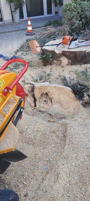 Wycinka drzew Frezowanie pni wywóz gałęzi zrębka