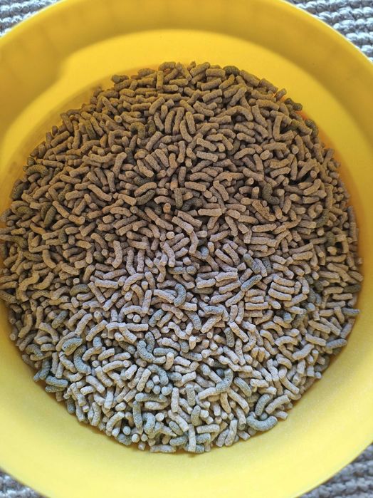 Comida diversa para tartarugas, répteis ou pássaros