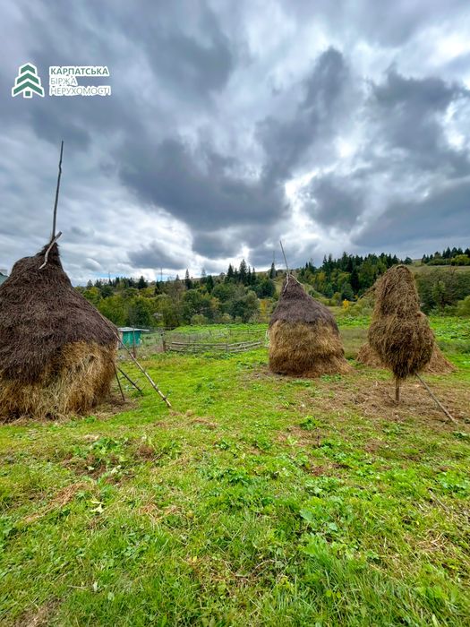 Земельна ділянка в селі Пилипець