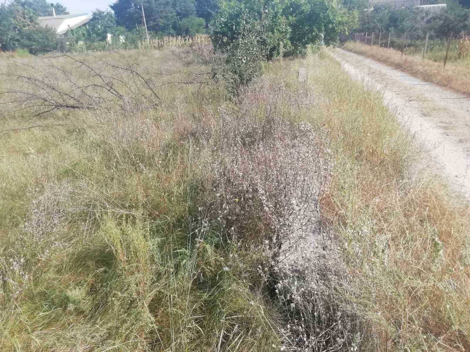 Продаю ділянку  0,65 га, під забудову  Обухівський р-н, с. Тарасівка,