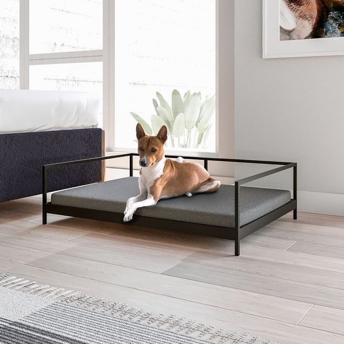 Металева вольєрах клітки для домашніх улюбленців