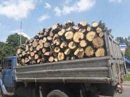 Купить дрова. Колотые дрова, метровка,  дрова в чурках