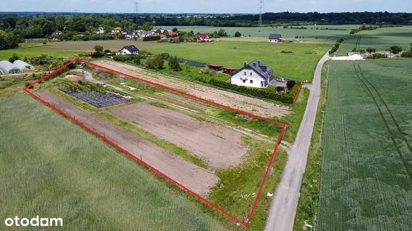 Przestronna działka budowlana w Prószkowie