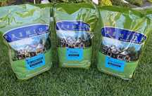 Trawa Kentucky Blue Grass nasiona traw KBG 7,2 kg