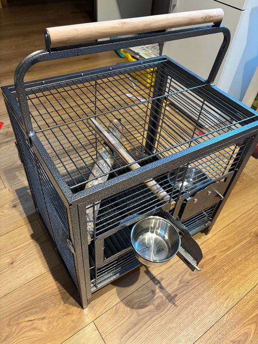 Papużki średnie senegalki