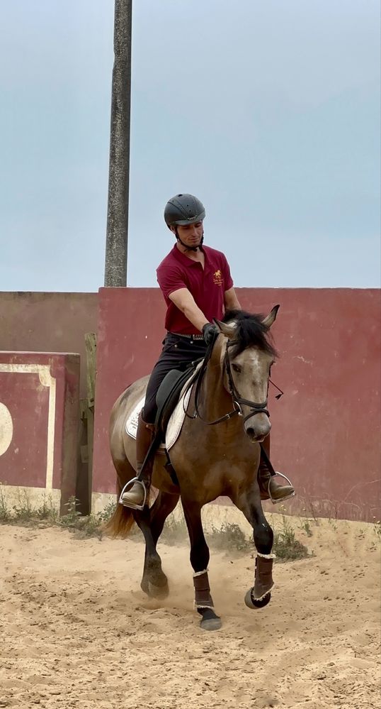Cavalo com 4 anos, super mansinho.