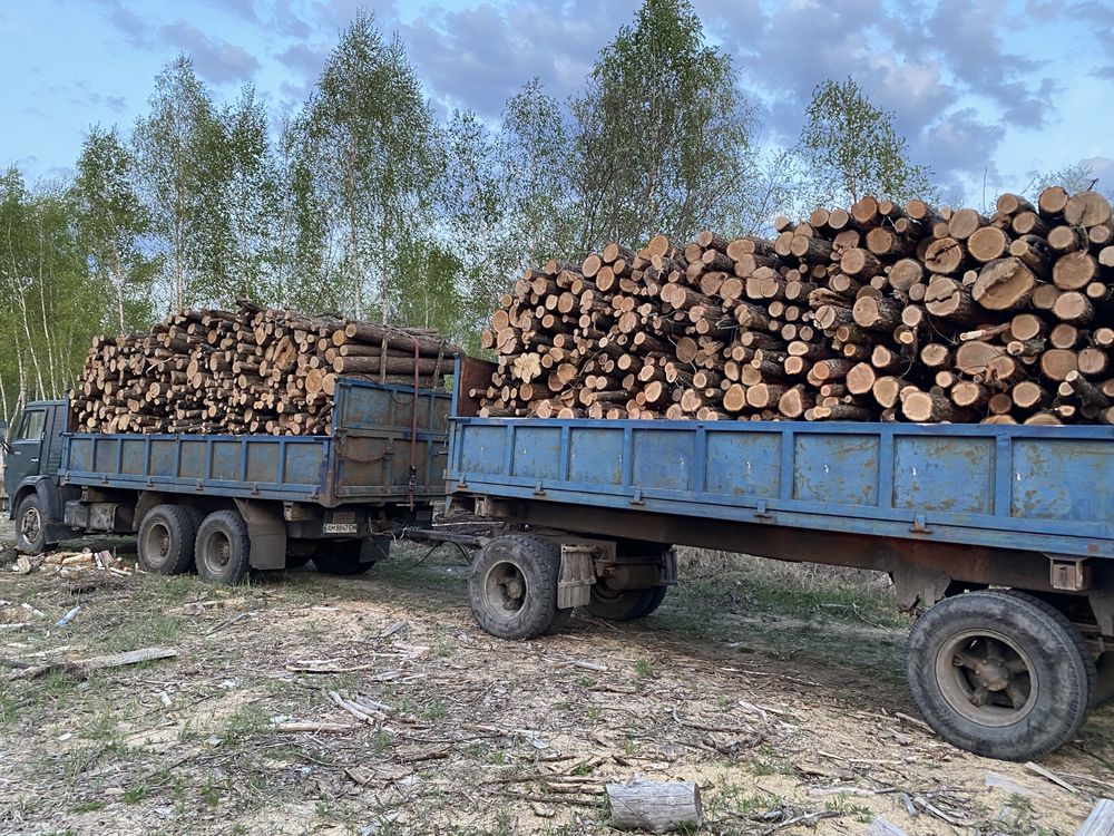 Дрова 2000грн.Київ та Київська обл., Працюємо з Підприєтвами