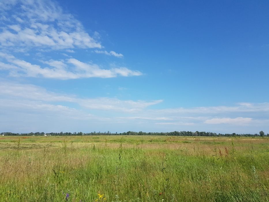 Оренда землі, 2,15га, с.Вища Дубечня,  під сад, овочі, теплиці, інше