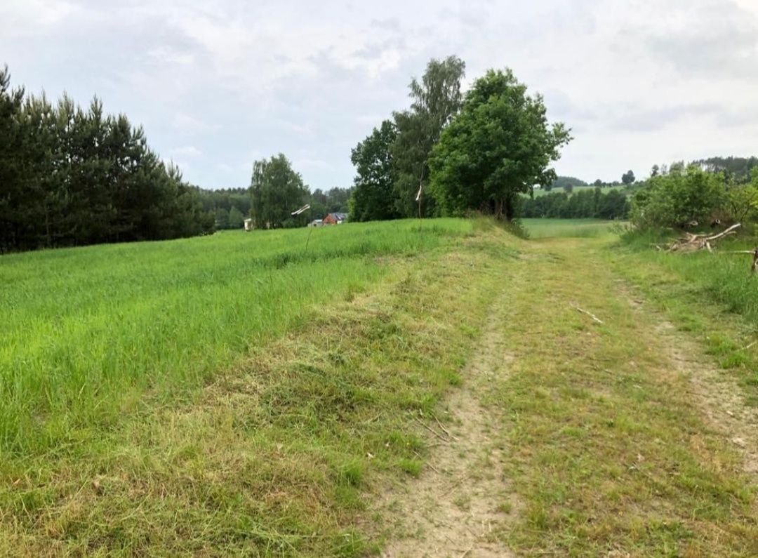 Działka Sierakowice - Bez Pośredników