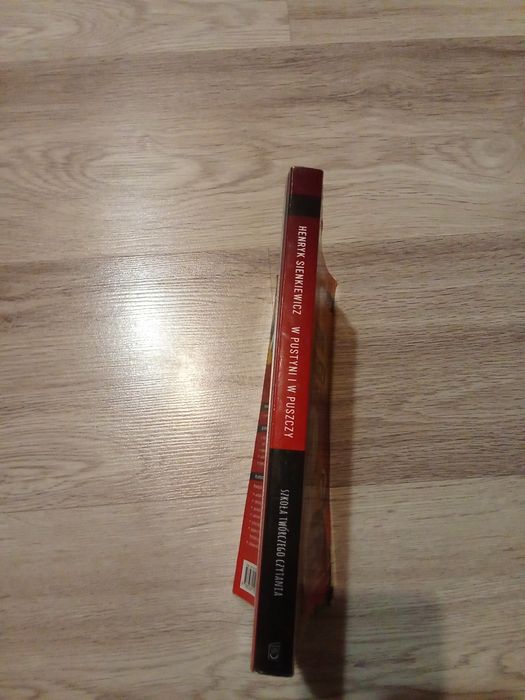 Lektura W Pustyni i w Puszczy