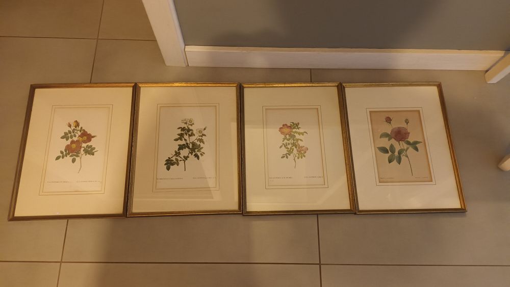 Komplet 4 obrazów z roślinami