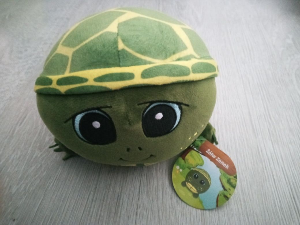 Nowa maskotka z Biedronki żółw Zenek