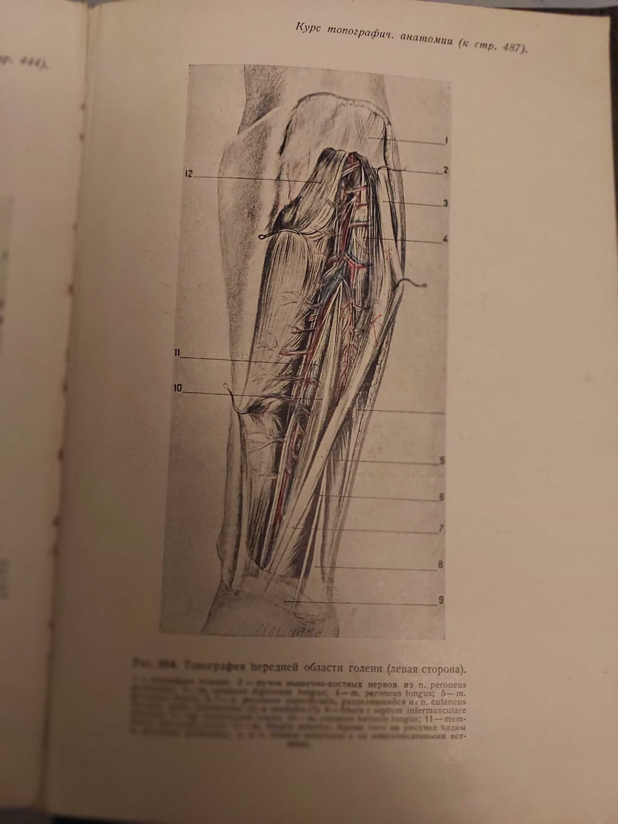 Книга курс топографической анатомии