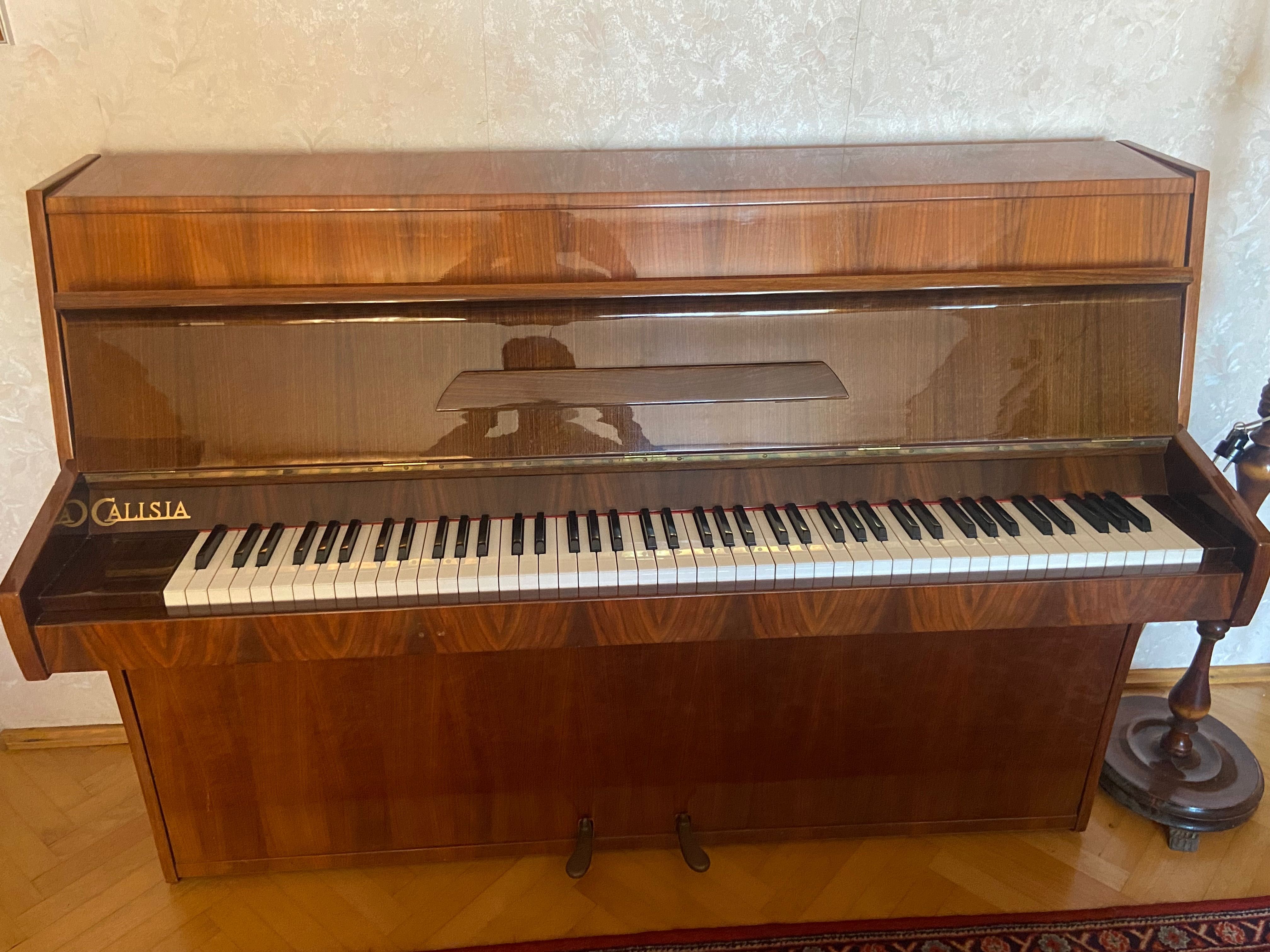 Pianino klasyczne