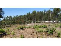 Terreno em zona industrial