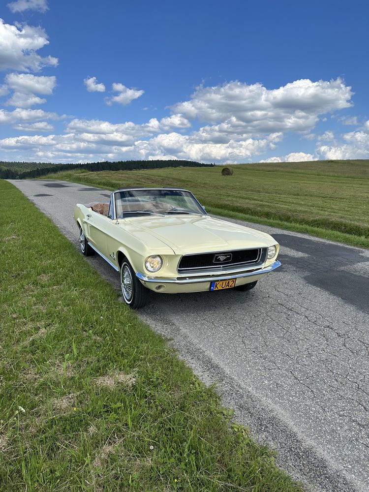 Ford Mustang 4,7L (289).