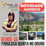Magnífica quinta vinícola, para venda, no Alto Douro Vinhateiro