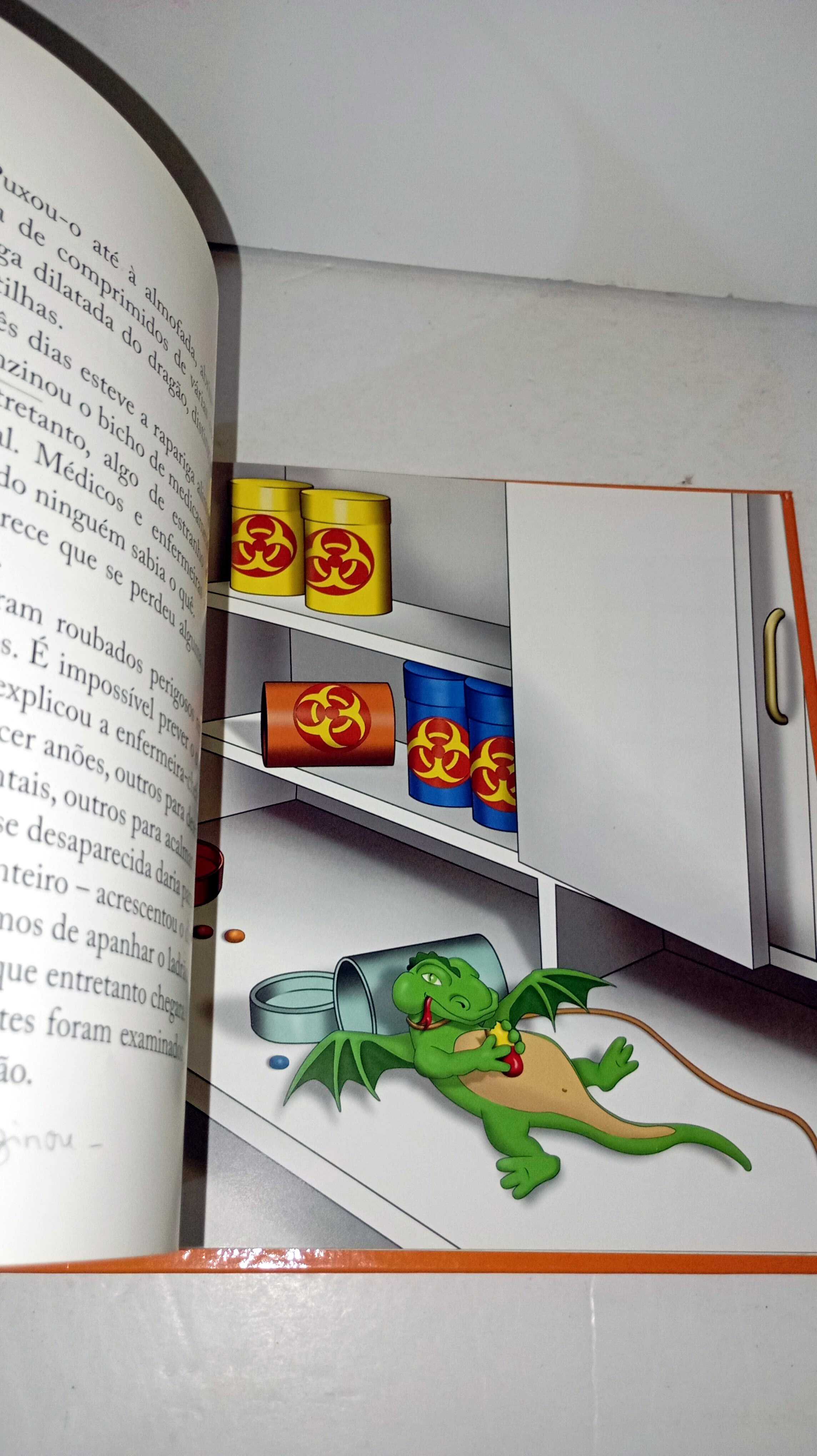 O Dragão - Luísa Ducla Soares