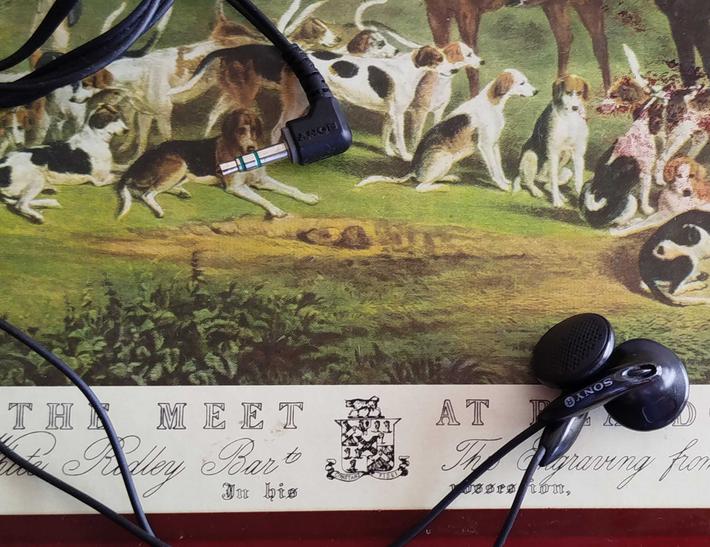 Auriculares Sony