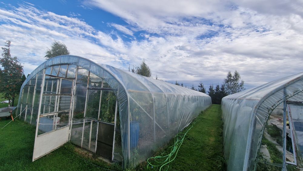 Tunel foliowy, folia, 30m