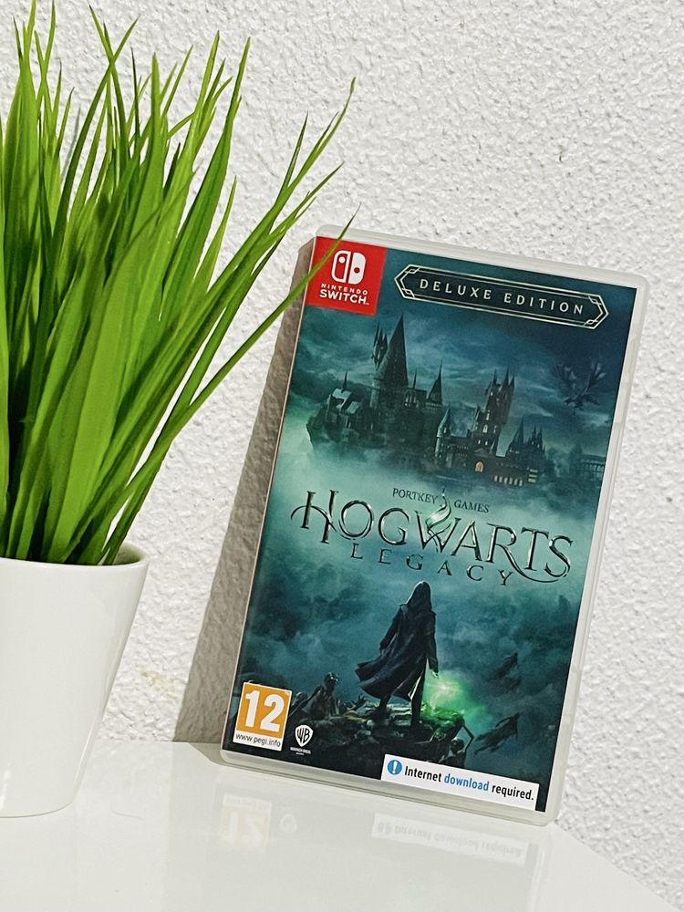 Nintendo Switch - Hogwarts Legacy