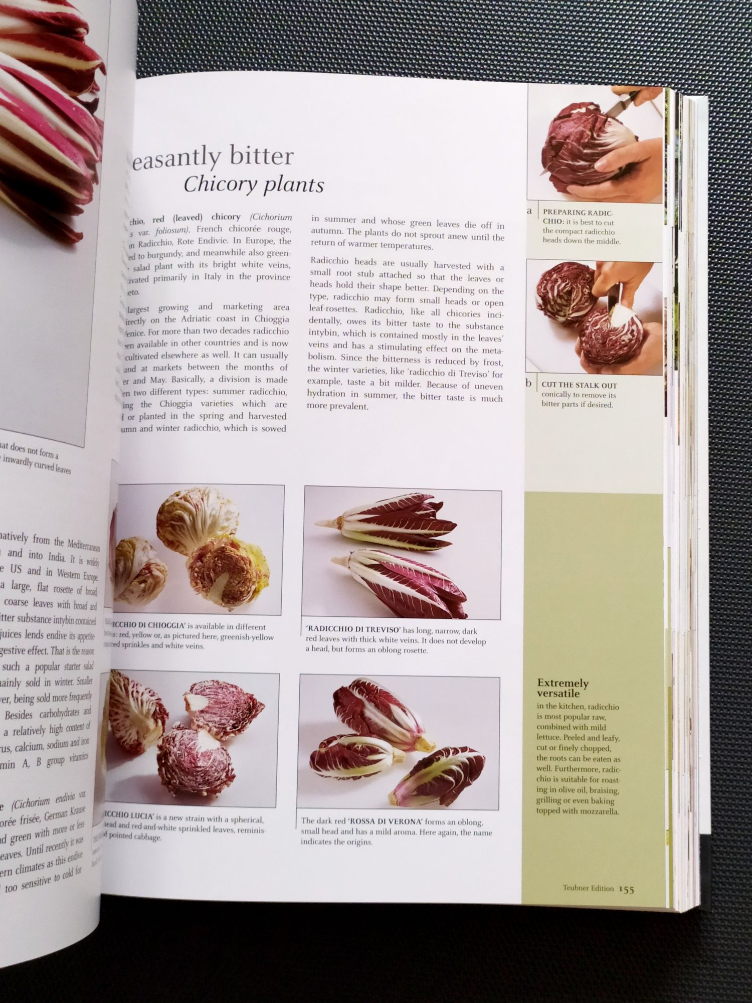 ОВОЩИ и ФРУКТЫ Тойбнер Кулинарная книга Teubner Специи Мясо и Дичь